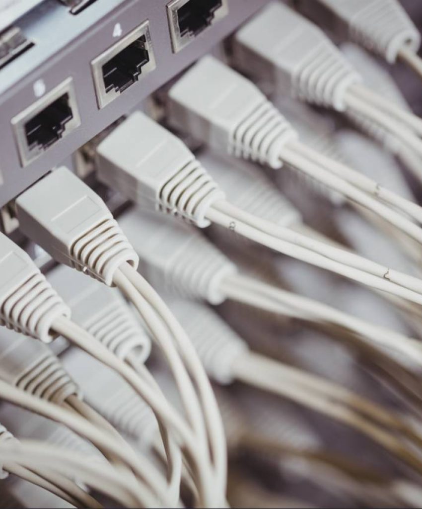 Rooted-Deck (14)